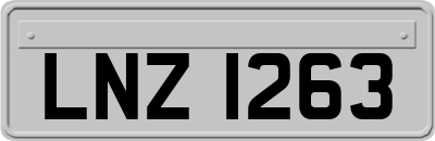 LNZ1263