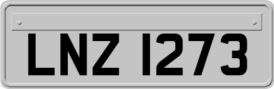 LNZ1273
