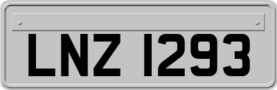 LNZ1293