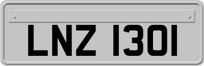 LNZ1301