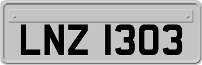 LNZ1303