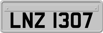 LNZ1307
