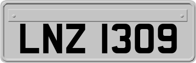 LNZ1309