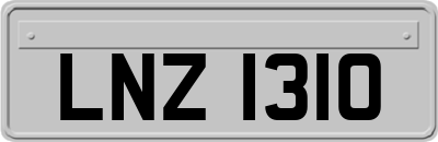 LNZ1310