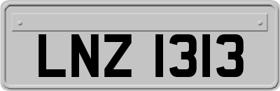 LNZ1313