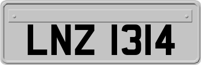LNZ1314
