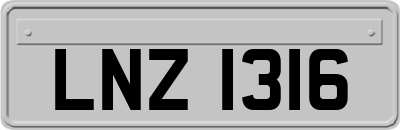 LNZ1316