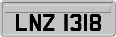 LNZ1318