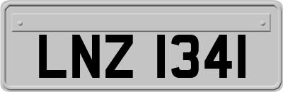 LNZ1341