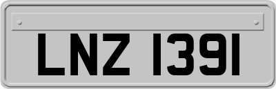 LNZ1391