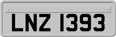LNZ1393