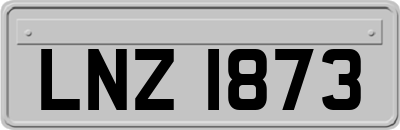 LNZ1873