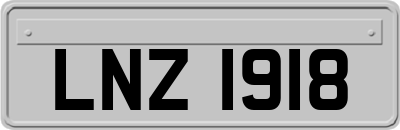 LNZ1918