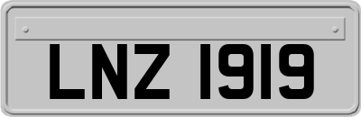 LNZ1919