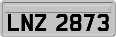 LNZ2873