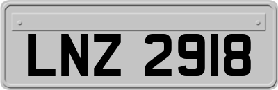 LNZ2918
