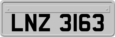 LNZ3163