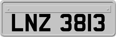 LNZ3813