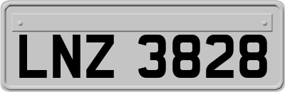 LNZ3828