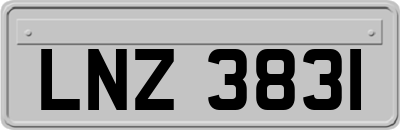 LNZ3831