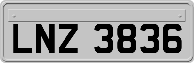 LNZ3836