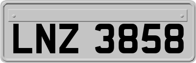 LNZ3858