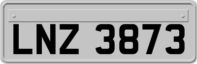 LNZ3873