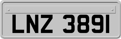 LNZ3891
