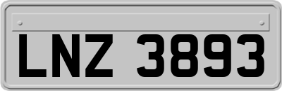 LNZ3893