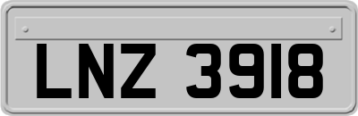 LNZ3918