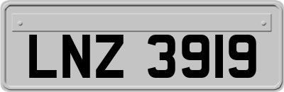 LNZ3919