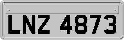 LNZ4873