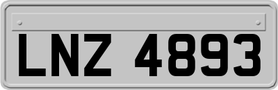 LNZ4893