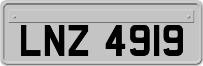 LNZ4919
