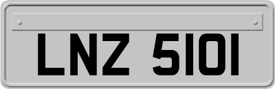 LNZ5101
