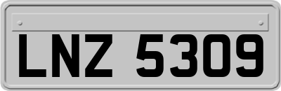 LNZ5309