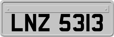 LNZ5313