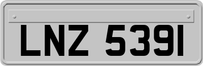 LNZ5391