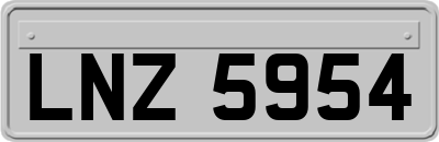LNZ5954