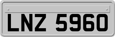 LNZ5960