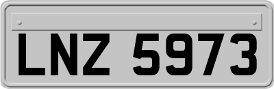 LNZ5973