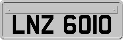 LNZ6010