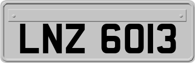 LNZ6013