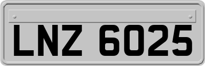 LNZ6025