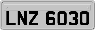 LNZ6030