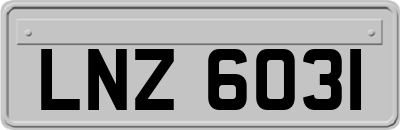 LNZ6031