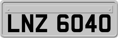 LNZ6040