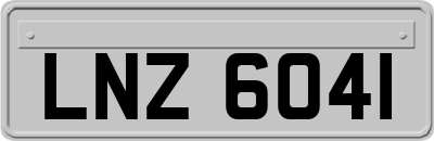 LNZ6041
