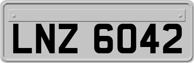 LNZ6042