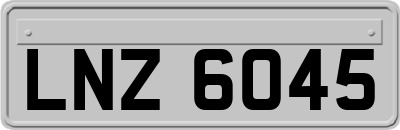 LNZ6045